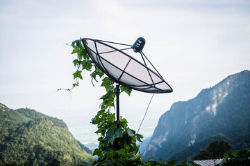 Zucchini trees weave on a planetary transceiver in Ban Phahee hill tribe village, Chiang Rai province