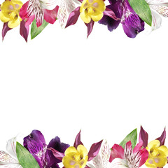 Beautiful floral frame of aquilegia and alstroemeria. Isolated