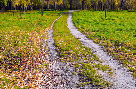 Two ways among the grass are parallel and lead in the same direction. Autumn landscape