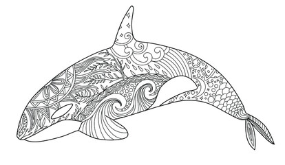 Whale coloring page. Adult anti-stress coloring book. Zentangle. Killer whale