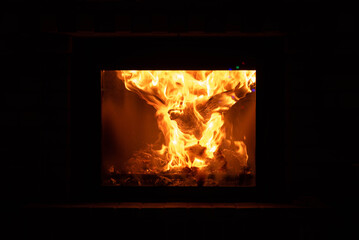 Wooden eagle bird burning in the fireplace - phoenix metaphor, fire and renewal