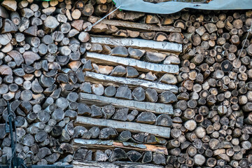 Gestapeltes Brennholz auf einer Wiese © focus finder