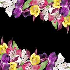 Beautiful floral background of aquilegia and alstroemeria. Isolated