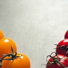 Clusters of red and yellow tomato cherry, close up shot, deep shadows