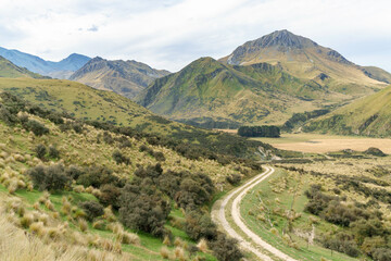 Fototapeta premium landscape South Island New Zealand, Danseys Pass