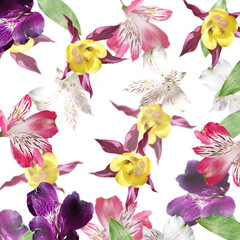 Beautiful floral background of aquilegia and alstroemeria. Isolated