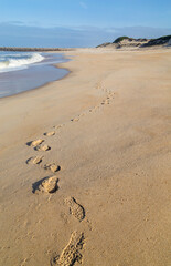 Beautiful beach in Figueira da Foz