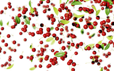 Falling Red Cherries Fruit Background