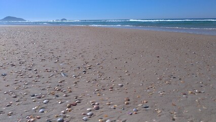 Florianópolis - Brazil - Moçambique beach
