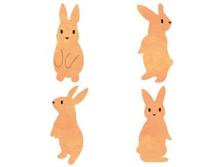 うさぎの可愛いポーズ集