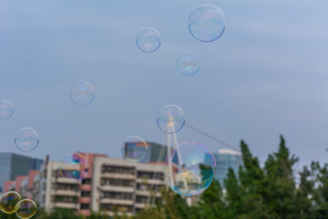 A lot of soap bubbles flying in the park with background of blue sky and sunset on the buildings