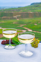 Tasting of french sparkling white wine with bubbles champagne on outdoor terrace with view on grand cru Champagne vineyards in Cramant, near Epernay, France