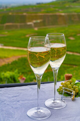 Tasting of french sparkling white wine with bubbles champagne on outdoor terrace with view on grand cru Champagne vineyards in Cramant, near Epernay, France
