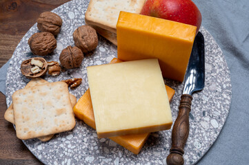 Cheese collection, orange and yellow smoked British cheese from England