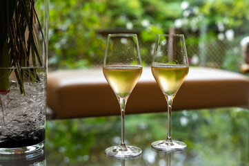 Tasting of french sparkling white wine with bubbles champagne on outdoor terrace in France