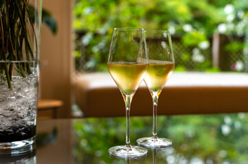 Tasting of french sparkling white wine with bubbles champagne on outdoor terrace in France