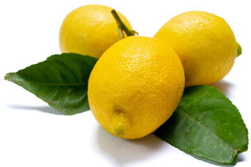 Fresh ripe yellow Italian lemons with leaf, new harvest