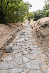 Fototapete bei efototapeten.de bestellen   