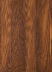 Brown wood texture. Abstract wood texture background.
