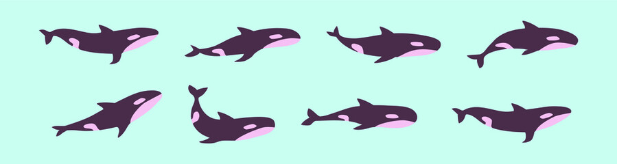 set of killer whale cartoon icon design template with various models. vector illustration isolated on blue background