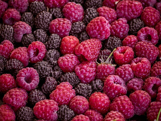 Fresh sweet berries raspberries background