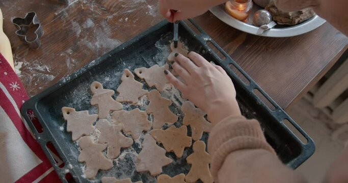 A young girl together with her dog, prepared gingerbread cookies for Christmas and having laid them out on a baking sheet carries them to the stove