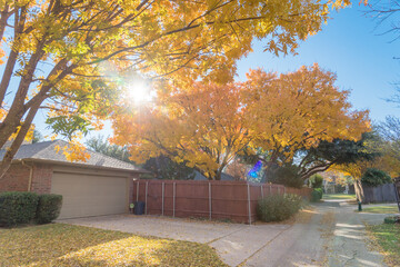 Sunny autumn day with beautiful yellow fall foliage along suburban back alley in Texas, USA