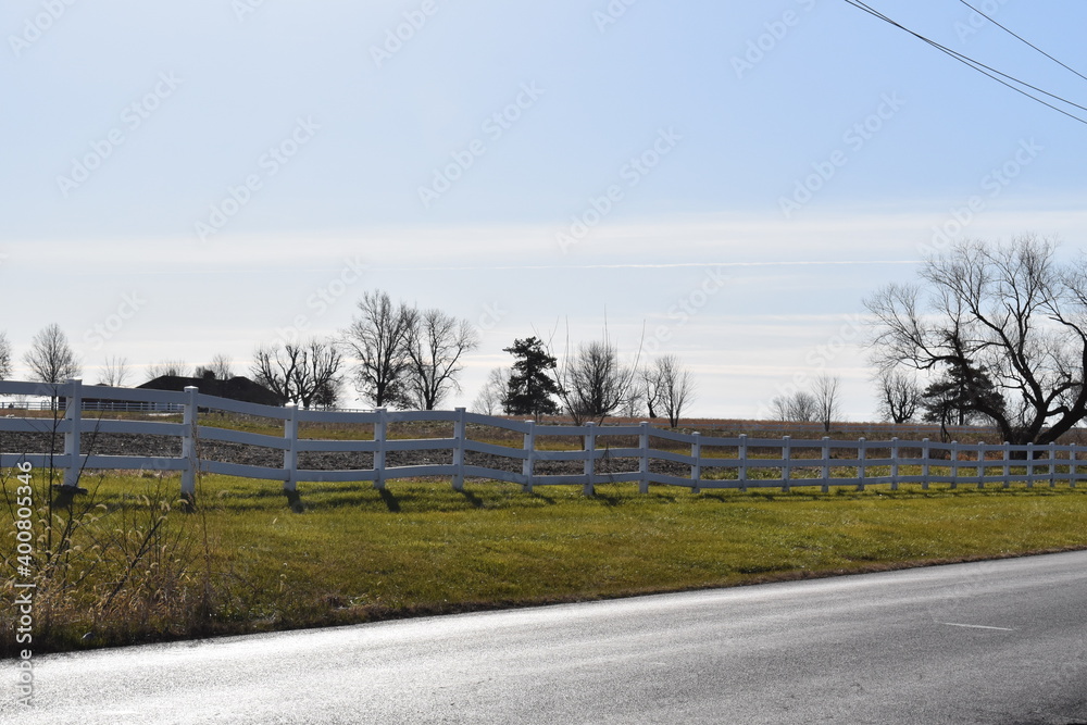 Wall mural fence row