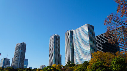 Fototapeta premium 雲一つない青空の下にそびえ立つ大都会東京の高層オフィスビル群