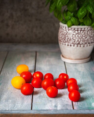 Scatter ripe tomatoes on a wooden table and growing basil in a flower pot