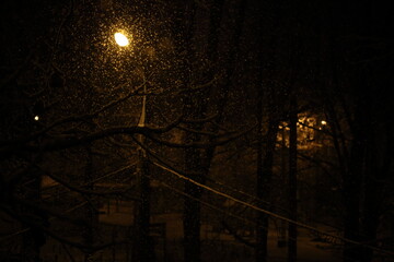 Snow on the branches of a tree at night in the illumination of a lantern