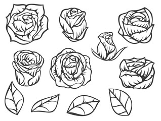 Set of roses buds and leaves in minimalistic hand drawn style. Collection monochrome flower elements isolated on white background. Vector illustration.