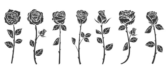 Set of monochrome roses flower in minimalistic hand drawn style. Collection color art elements isolated on white background. Vector illustration. © cgterminal