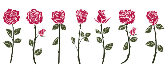 Set of red roses flower in minimalistic hand drawn style. Collection color art elements isolated on white background. Vector illustration. © cgterminal