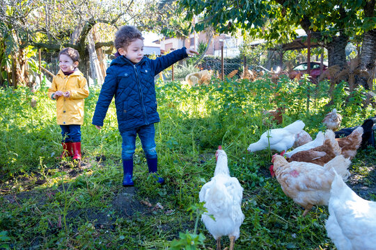 Coppia di fratellini gemelli di 3 anni che giocano all'aperto con animali da cortile
