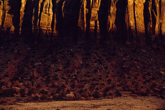 Desert Gold