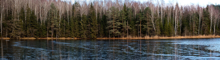 forest lake covered with ice tall trees on the shore