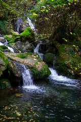 Obraz premium wonderful waterfalls of the cypress forest of fontegreca