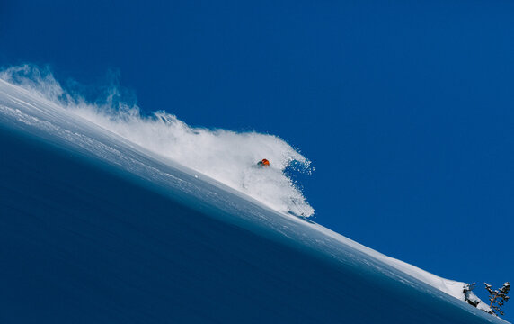 Powder Ski