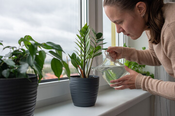 Woman watering plants on windowsill at home © molenira