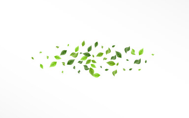 Green Leaf Blur Vector White Background Backdrop.