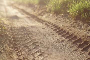 tire tracks on a dirt road