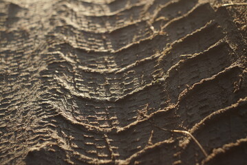tire tracks on a dirt road close up