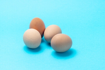 chicken egg isolated on light blue background