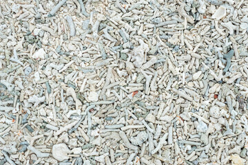Fototapeta premium Seamless pattern or background of dead white corals on the beach floor.