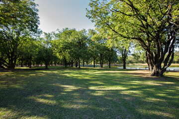 Green Park - Westminster, Front or Back Yard, Formal Garden, Ornamental Garden