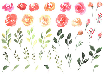 Watercolour floral illustration set. DIY flower, green leaves elements collection - for bouquets, wreaths, arrangements, wedding invitations, anniversary, birthday, postcards, greetings, cards, logo.