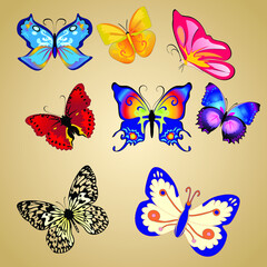 Fototapeta na wymiar Vector illustration. Set of realistic vector butterflies. Collection of vintage elegant illustrations of butterflies. 