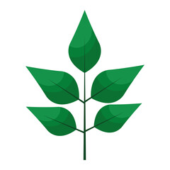 pinnate leaf plant flat style icon vector illustration design