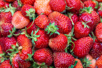 Freshly picked strawberries. Close-up.